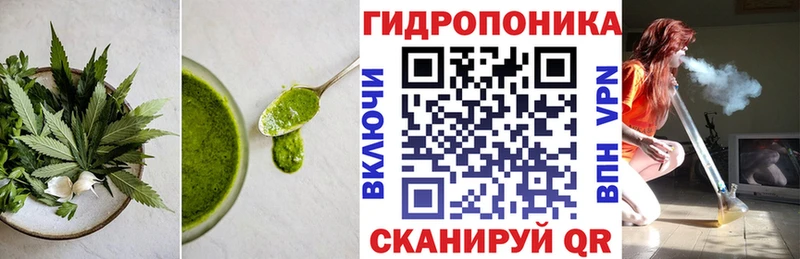 сколько стоит  MEGA зеркало  Canna-Cookies марихуана  Ухта 