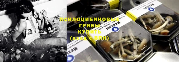 прущие крисы Аркадак