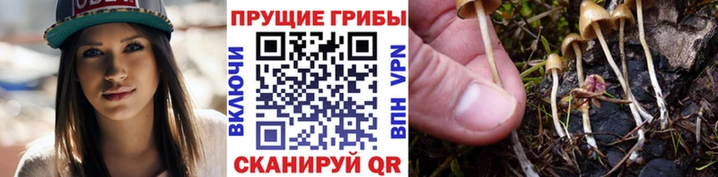 KRAKEN сайт  Ухта  Псилоцибиновые грибы MAGIC MUSHROOMS 